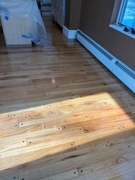 Newly sanded natural red oak hardwood floors in a bedroom with sunlight streaming through windows, furniture covered in plastic during flooring refinishing in Far Hills, New Jersey