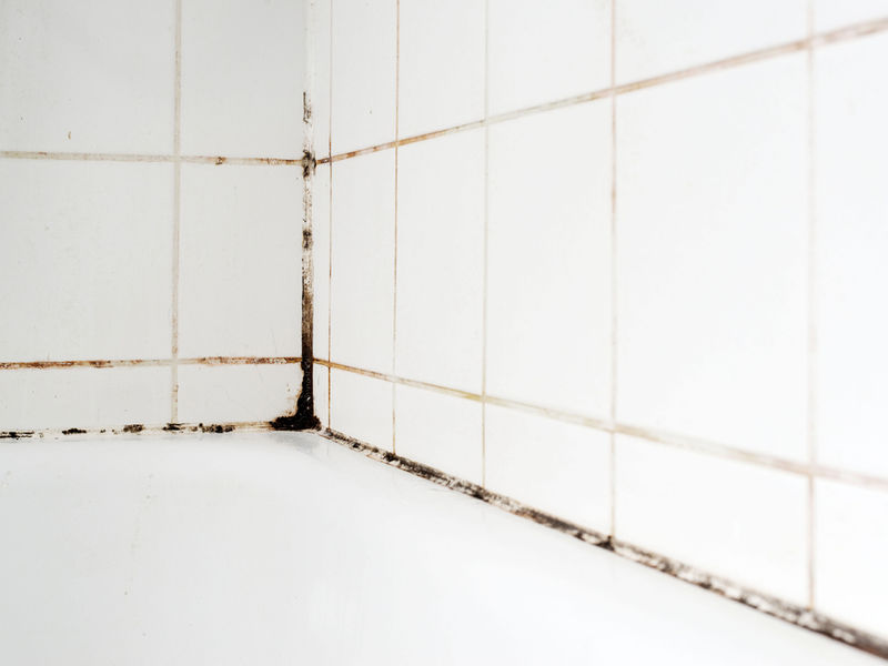Leaky shower door